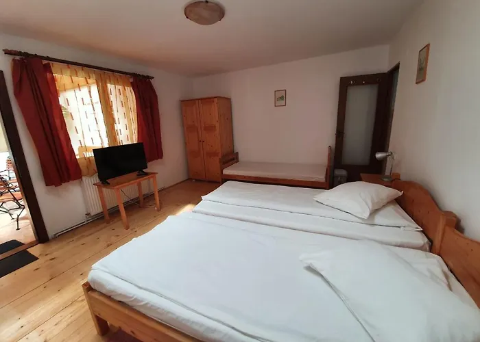 Guest house Casa Terezia Brasov