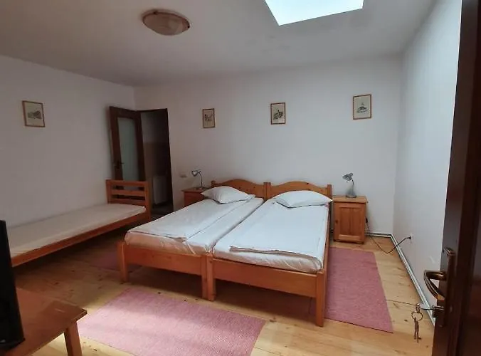 Casa Terezia Pensjonat Braszów